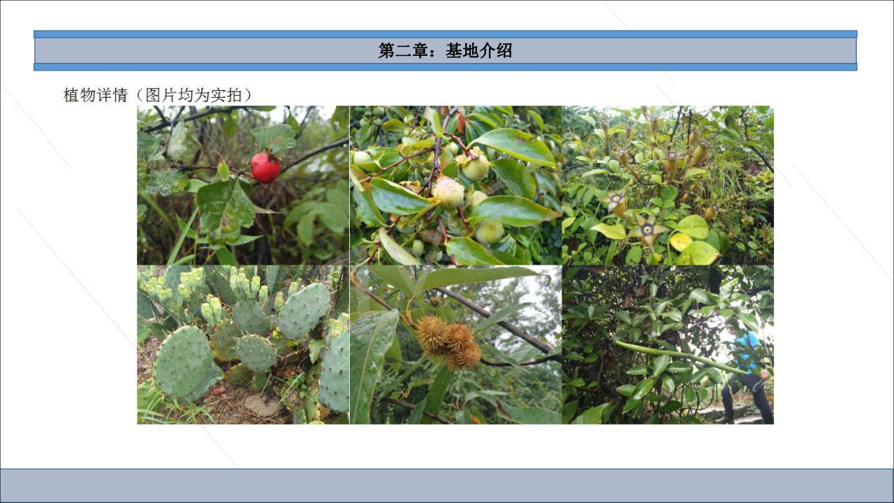 （初级课程）野团建野外生存方两天一夜_07.jpg