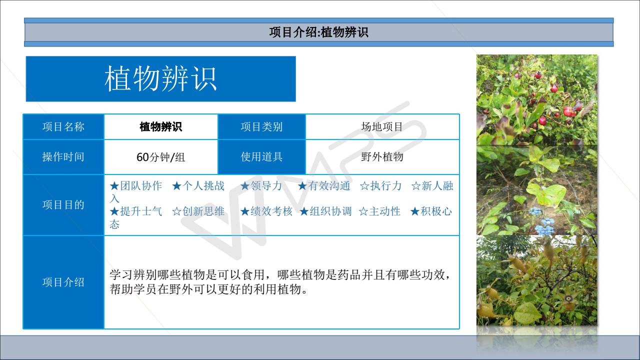 （初级课程）野团建野外生存方两天一夜_14.jpg