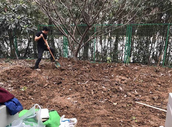 QQ截图20180103152642.jpg